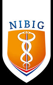 Nibig Logo